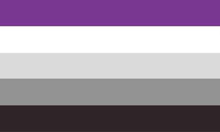 a flag with 5 horizontal evenly sized stripes. from top to bottom the stripes are purple, white, light grey, grey, and off-black
